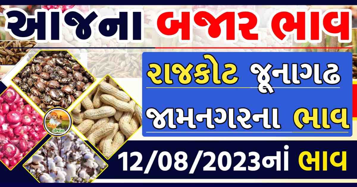 Today 12/08/2023 Rajkot APMC Rate ikhedutyojana.com