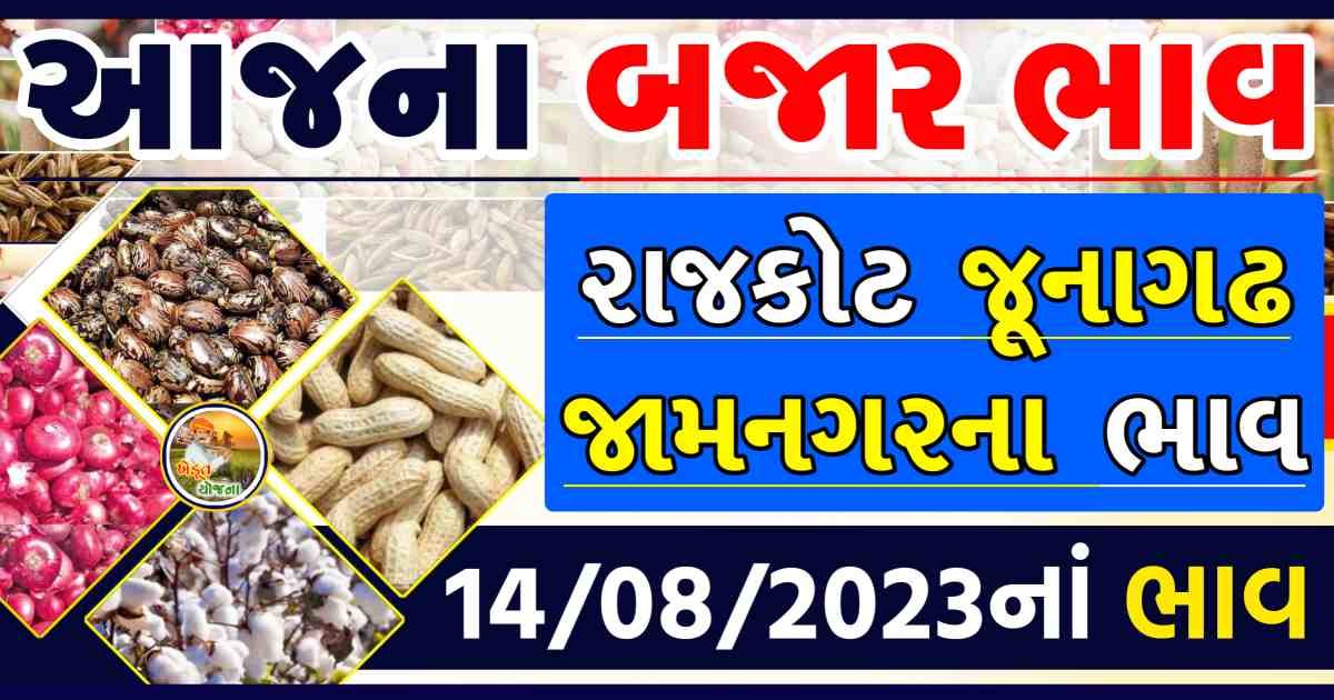 Today 14/08/2023 Rajkot APMC Rate ikhedutyojana.com